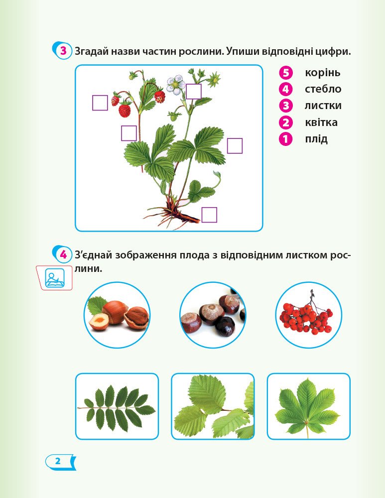 НУШ Дидакта. Я досліджую світ. 1 клас. Робочий зошит «Я досліджую світ» Т.Г. Гільберг, С.С. Тарнавської, О.В. Гнатюк, Н.М. Павич. ЧАСТИНА 2