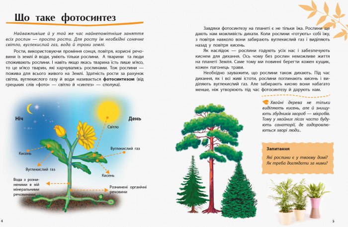 Відкриваємо світ. Рослини