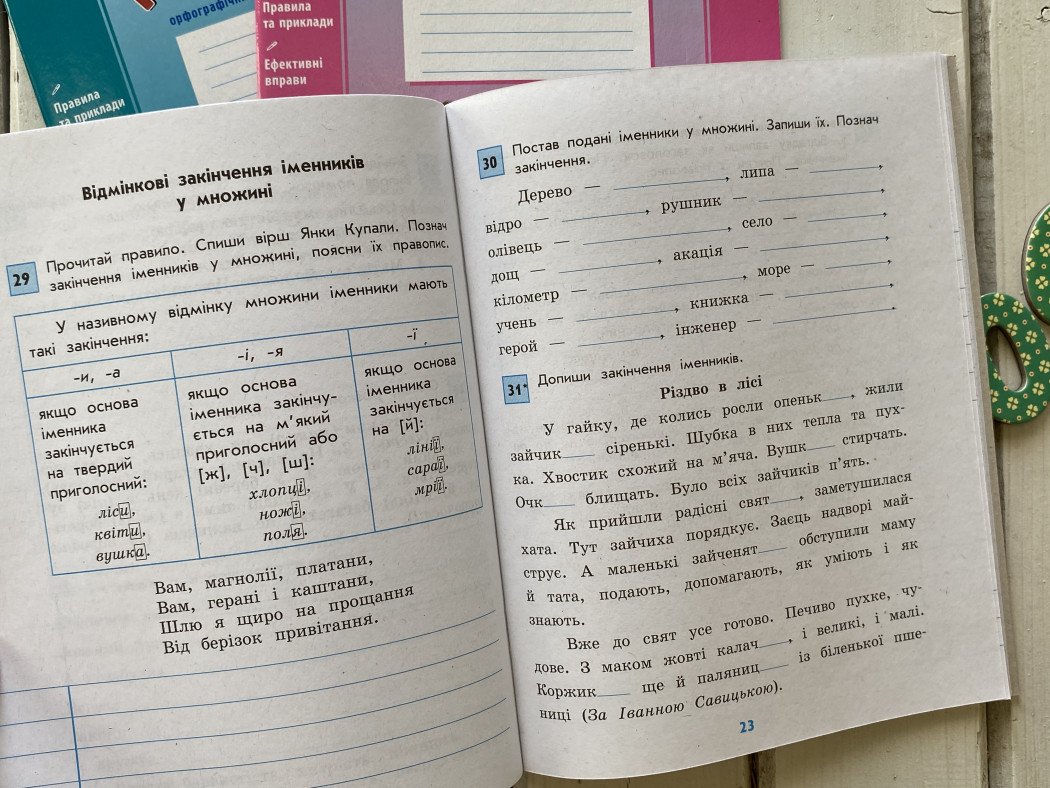 Грамотійко. 4 клас. Зошит для успішного набуття орфографічних та пунктуаційних навичок