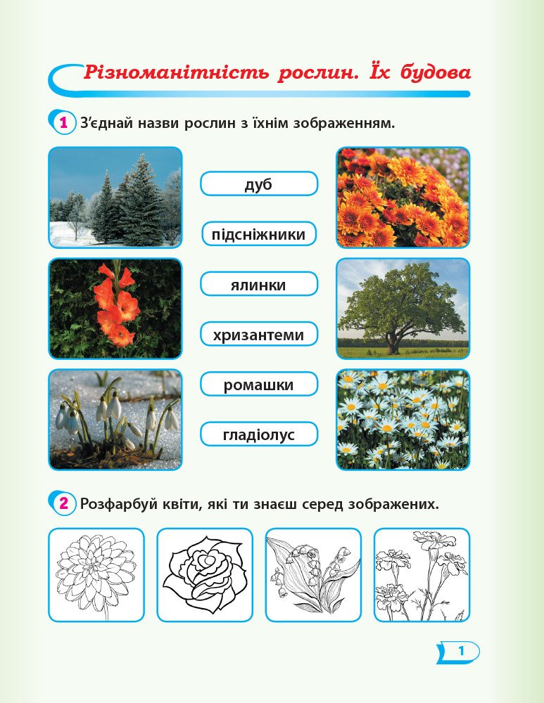 НУШ Дидакта. Я досліджую світ. 1 клас. Робочий зошит «Я досліджую світ» Т.Г. Гільберг, С.С. Тарнавської, О.В. Гнатюк, Н.М. Павич. ЧАСТИНА 2