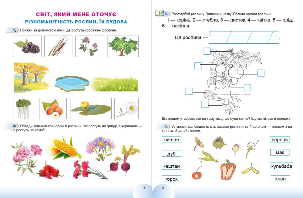 Я досліджую світ. 1 клас. Робочий зошит (в 2-х частинах). Частина 2