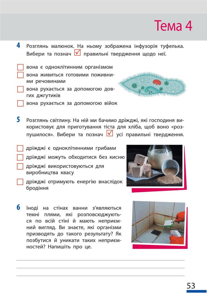 НУШ Пізнаємо природу. 6 клас. Робочий зошит до модельної навчальної програми (Коршевнюк Т.В.)