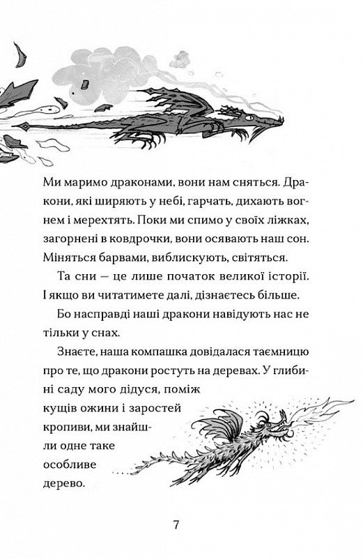 Хлопчик, який марив драконами. Книга 4